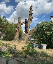 Chassagrande Elagage Fils image 9