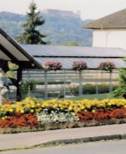 Büchner Gärtnerei und Blumengeschäft Bild 5