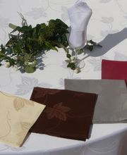 Tachon Location Matériel Réceptions Sàrl Bild 5