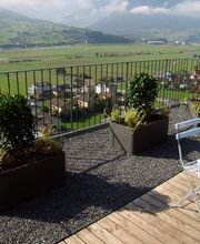 Reinhardt Gartenbau Bild 4