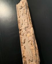 Pro Bat image 19
