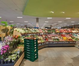 Obst & Gemüse