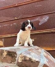 Covey Point Outfitters image 14