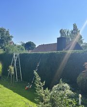 Gartenservice Mark Miess Bild 8