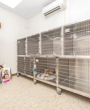 State Road Animal Hospital image 12