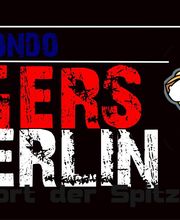 Taekwondo Tigers Berlin Bild 1