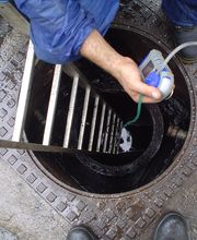 Gallery Professionale