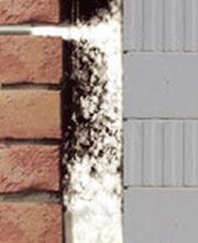 PRODÄMM Professionelle Dämmtechnik Bild 1