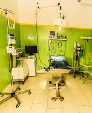 Clinica Veterinaria Leonardo da Vinci immagine 10