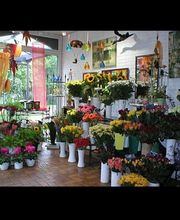 Friedhofsgärtnerei und Blumengeschäft Wieting Bild 7