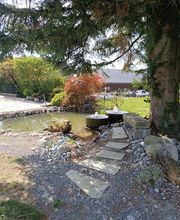 LEDER Garten- + Landschaftsbau Bild 11