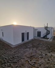 Oliveira SAS image 6