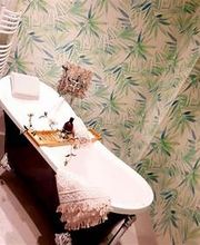 House Beautiful Bild 7