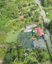 Pépinière Lesueur EARL image 1