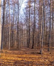 FriedWald Wolfenbüttel Bild 9