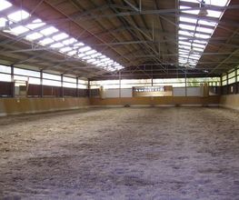 Reitschule Lautlos Bild 10