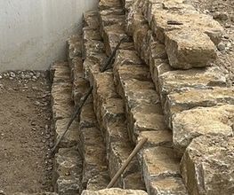 Mutter Gartenbau Bild 5