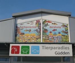 Tierparadies Güdden Bild 1