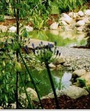 Knobloch Garten und Landschaftsbau Bild 2