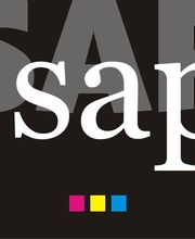 S.A.P Saône Application Peinture image 1