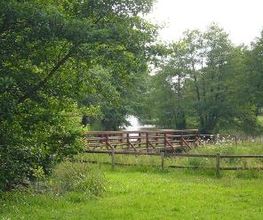 Haasehof Bild 18