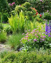 Bernet Gartenbau AG Bild 8