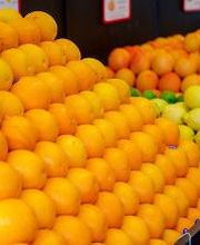 André Claude image 13