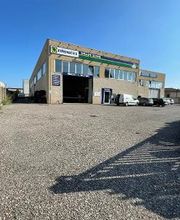 Euromaster Lollato Gomme immagine 7