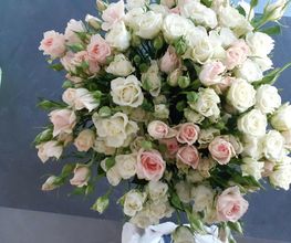 Audrey Fleurs image 19