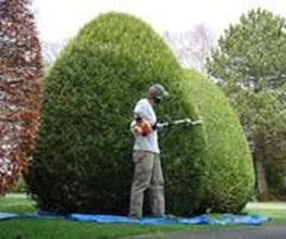 Benoiton Olivier image 1