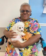 Sarasota Point Rehabilitation Center image 4