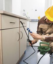 Abando Desinfecciones imagen 19