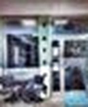 Beauty & Color Tattoo Bild 1