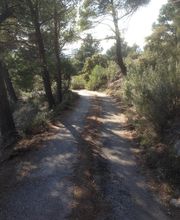 Entreprise Capel image 7