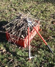 Baumpflege - S. Kaufhold Bild 2