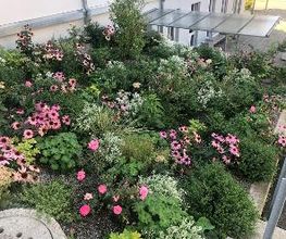 Bauert AG Parkpflege Gartenbau Bild 5