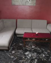 Gallery Professionale
