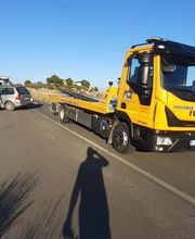 Gallery Professionale