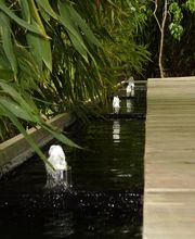 Oxalie Jardins Services image 7