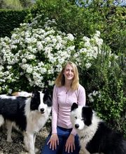 Bravo Mon Chien image 5