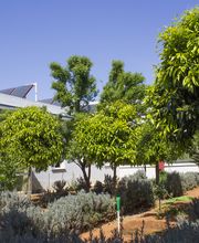 Residencia de Ancianos Los Palacios, Sevilla | VITALIA HOME imagen 2