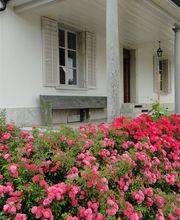 Wild Gartenbau AG Bild 8