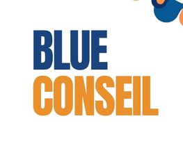 Blue Conseil image 2
