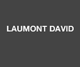 Laumont David image 1