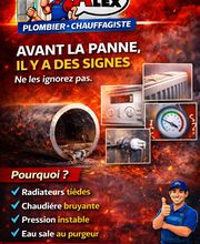 Allo Alex image 7