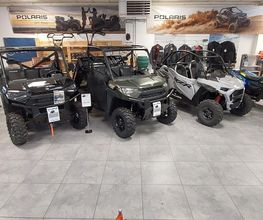Polaris image 1