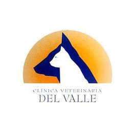 logodelvalle.jpg