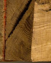 Inova Terre SARL image 4