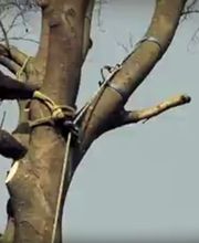 ENT RICHARD BOIS image 7