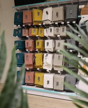 Centrakor Chatte image 3